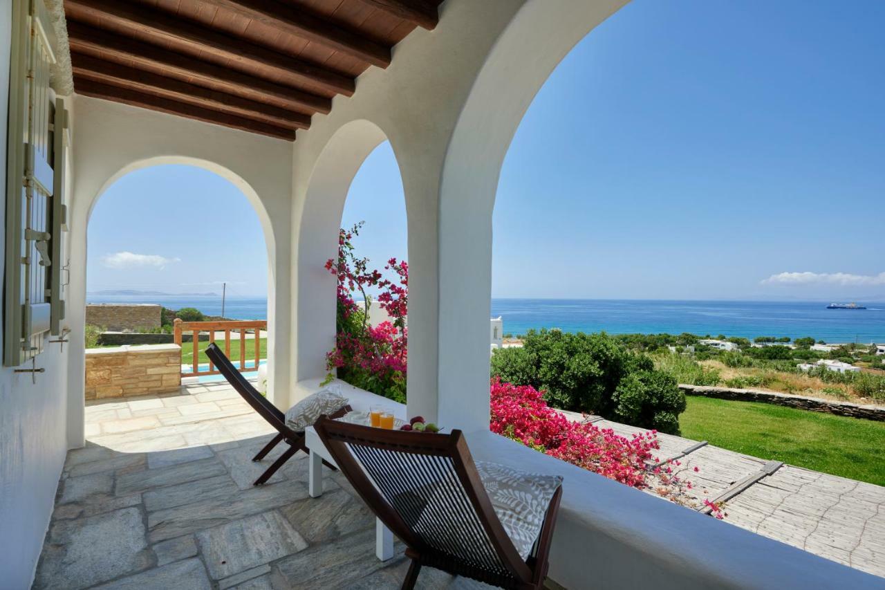 Grace Villa Тинос Экстерьер фото